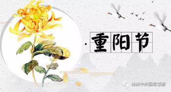 吉祥吃瓜小说后续免费阅读,宫廷秘闻，免费续集大揭秘